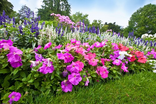 Beautiful bouquet of assorted flowers arranged elegantly